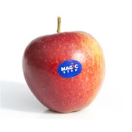 Pomme magic star le kilo