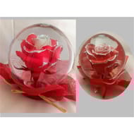 Flower Globe pailettes