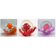 Flower globes