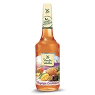 Moulin de valdonne sirop voyage exotique 70cl