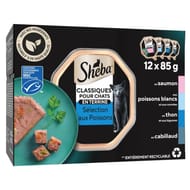 Sheba pâtée pour chat coffret océan en terrine 12x85g