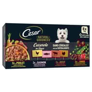 Cesar naturel goodness casserole barquettes en sauce pour chien adulte 800g