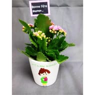 Kalanchoe dans sa céramique décor enfant spécial fête des mères