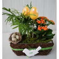 Composition de pâques 2 plantes