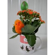 Kalanchoë dans son mug de pâques