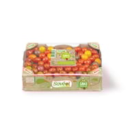 Tomate cerise couleur 1kg