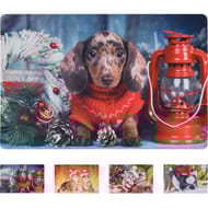 Tapis d'accueil animal