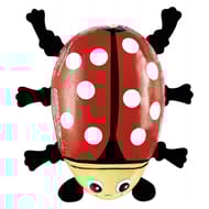 Riegelein coccinelle chocolat au lait sous alu 50g