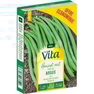Vita vilmorin haricot argus eco