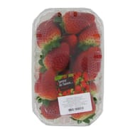 Fraise ronde bq 500g