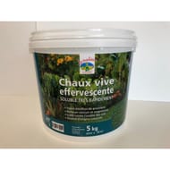Chaux vive effervescente seau de 5 kg