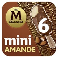 Magnum glace bâtonnet mini amande 6x55ml 266g