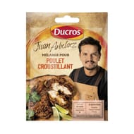 Ducros sachet mélange pour poulet croustillant 25g