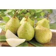 Poire williams verte