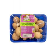 Champignons roses barquette 500g