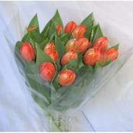 30 tulipes pailletées unicolores fleurs de france fête