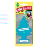 Arbre magique tropical 12g