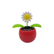 Fleur solaire
