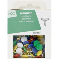 100 punaises assorties