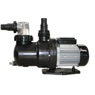 Pompe de filtration 0.75 CV/9,5M3/H