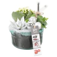 Composition 3 plantes en verre