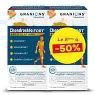 Granions chondrosteo + fort comprimés 2x120