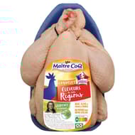 Maître Coq coquelet blanc éleveurs de nos régions x1