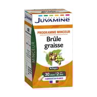Juvamine phyto brule graisse 60 gelules 22g