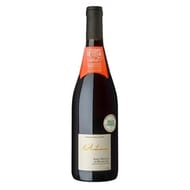 Saint Nicolas de Bourgeuil L'Audacieuse 75cl