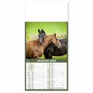 Exacompta calendrier mensuel perforé 18.5x35 cm 12 feuillets chevaux