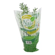 Herbe fraiche bio romarin