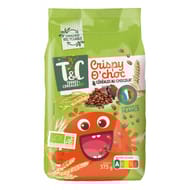 Terres et céréales crispy o'choc bio 375g