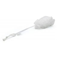 Brosse à dos plastique