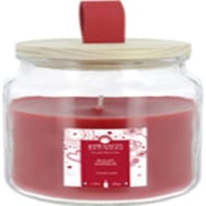 Ambiances devineau bougie bonbonnière colorée 300g