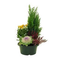 Composition Toussaint coupe 23cm