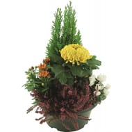 Composition Toussaint coupe 27cm