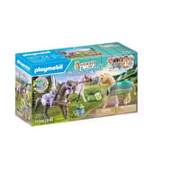 71356 - 3 chevaux Morgan, Quarter Horse & Shagya