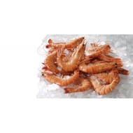 Crevettes roses de Madagascar de 30 à 40 pièces au kg