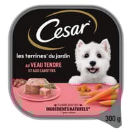 Cesar pâtée pour chien barquette de veau en terrine 300g
