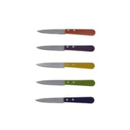 Couteau office tradition hetre ceruse couleur