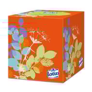 Lotus mouchoirs boîte cubique x48