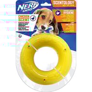 Nerf scentoloigy rond l poulet