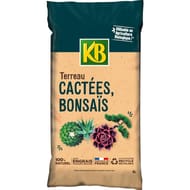 Terreau cactées 6 litres