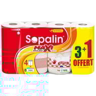 Sopalin essuie tout sur mesure décoré 3+1