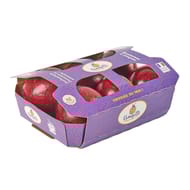 POMME CHOUPETTE BARQUETTE 6 FRUITS