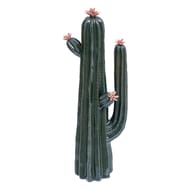Cactus céramique h40cm