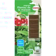 Batonnets x30 plantes de la maison cora