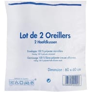 Oreiller microfibre 60x60cm lot de 2