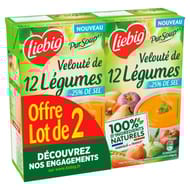 Liebig velouté de 12 légumes lot de 2x1l