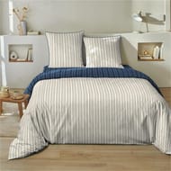 Drap housse 160x200cm meno 51fils